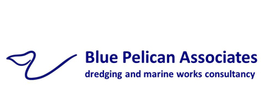 Blue Pelican Associates