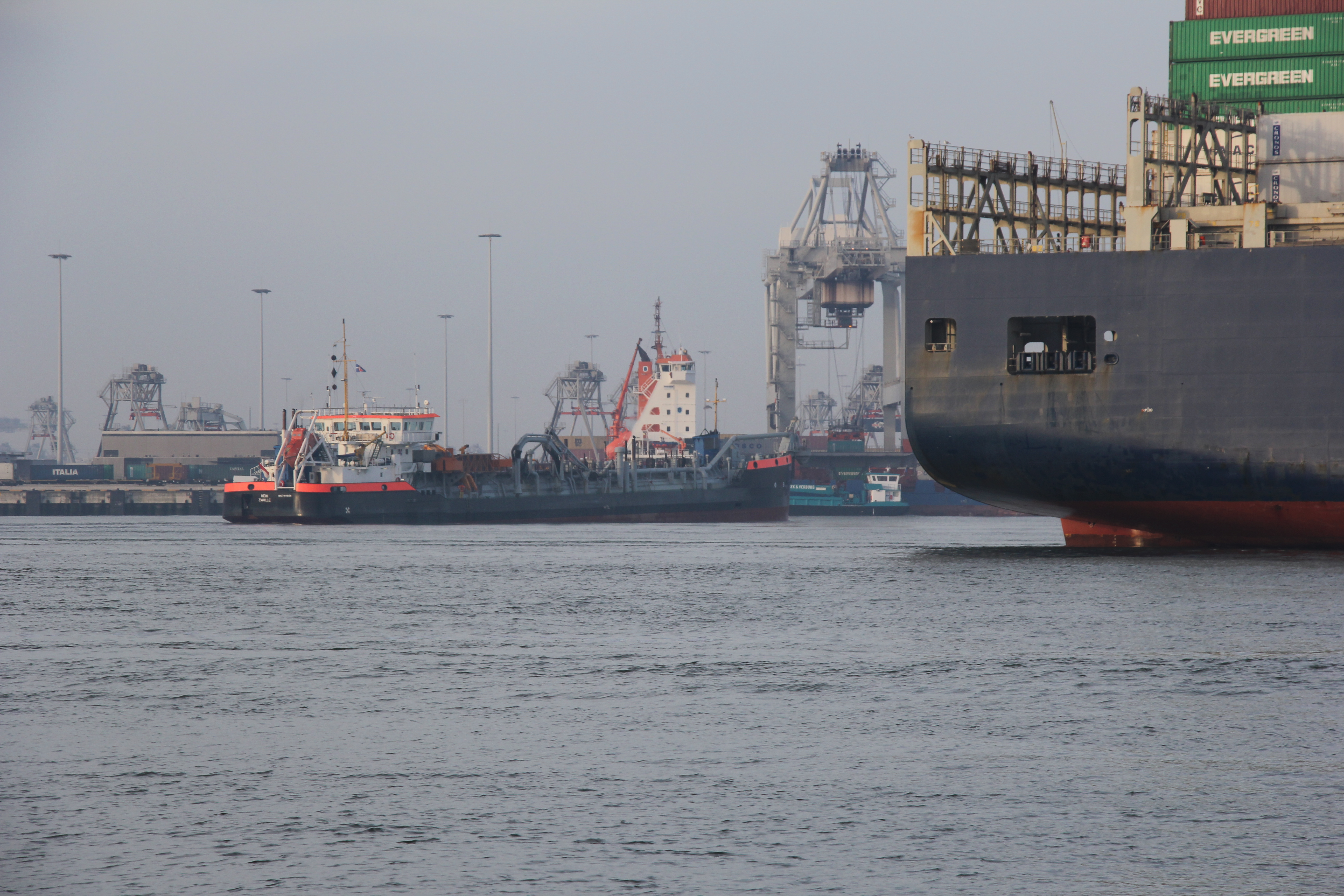 Port development